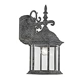 Transglobe Lighting 4354 SWI Outdoor Wall Light with Beveled Glass Shade, Swedish Iron Finished [並行輸