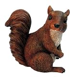 Michael Carr Designs MCD508001 Squirrel