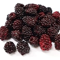 Amazon 冷凍果実ブラックベリー1kg 250g 4パック Black Berry ノーブランド品 冷凍フルーツ 通販