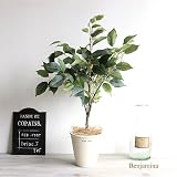 テーブルベンジャミン 60cm　観葉植物 造花 インテリア 消臭◎CT触媒
