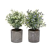 T4U 造花アレンジ 人工観葉植物SET．1 インテリア プレゼント 2色セット