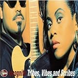 トライブス、ヴァイブス+スクライブス