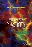 Multiscale Plasticity