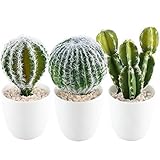 gtideaのセット5人工フェイク多肉植物サボテンFoam Faux植物micro-landscape装飾花ホームガーデンバルコニー屋内屋外装飾