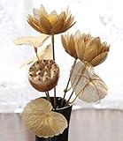 仏様のお供えに【金色の蓮の花】 ロータスブッシュ 1602-4467 （CT触媒加工） 【造花】