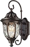Elk 45002/1 7 by 14-Inch Glendale 1-Light Outdoor Wall Sconce with Water Glass Shade, Regal Bronze F