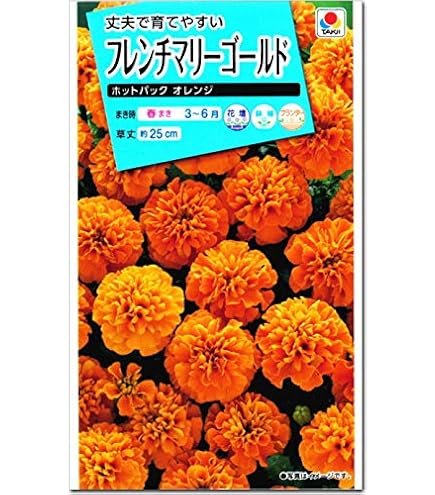 Amazon.co.jp: マリーゴールド 種子 ホットパック イエロー