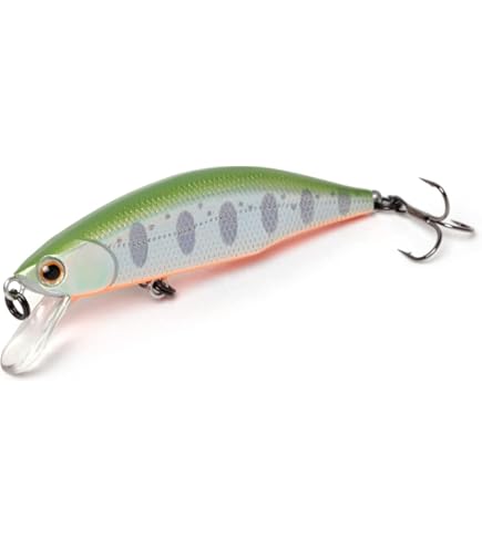 Amazon | リトルプレゼンツ(LITTLE PRESENTS) ウェーダー N3