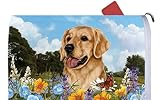 Golden Retriever – Best of Breed Dog Breedメールボックスカバー