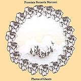 �t�H�g�Y�E�I�u�E�S�[�X�c