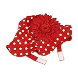 JamieRaeHats SH-REDD-REDD 2-4Y