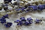 ~Coco Heart~　ちどり草( ラークスパー）　ブルー　（ ハーバリウム　ワックスバー、キャンドル　　母の日　クリスマス　ハロウィン 木の実・ドライフラワー）
