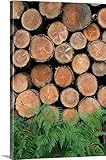 キャンバス上のログの需要プレミアムシックラップキャンバス壁アート印刷題名Pile with Ferns。 32" x 48" 1119033_24_32x48_none