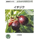 イチジク (NHK趣味の園芸 よくわかる栽培12か月)