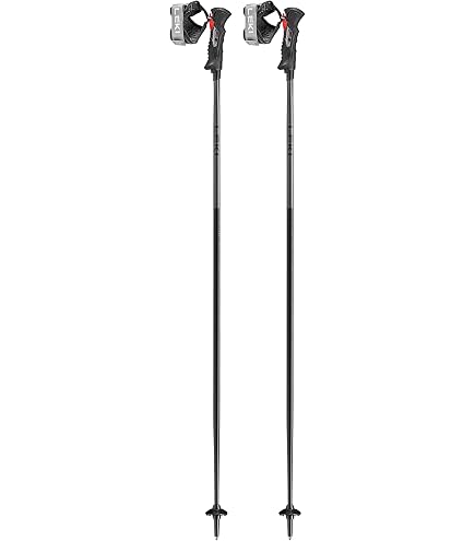 Amazon | [レキ] スキーストック ベノム バリオ 3D VENOM VARIO 3D RD