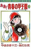 ああ！青春の甲子園（６） (フラワーコミックス)