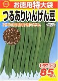 アタリヤ農園 ガーデニング用品 種 お徳用特大袋 つるありいんげん