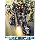 プロトタイプドム