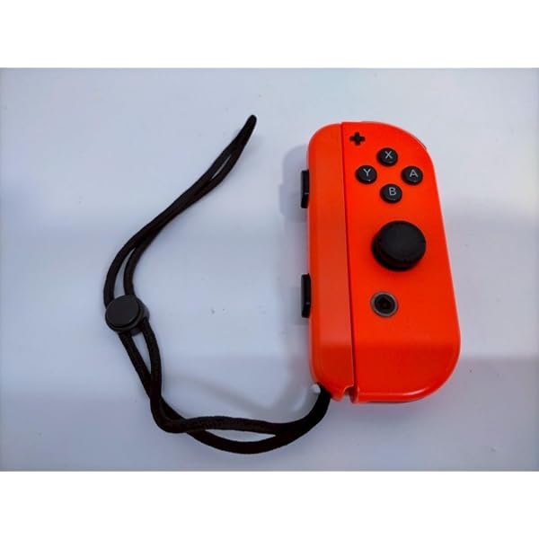 Pikmin 4(ピクミン 4) -Switch : Amazon.sg: Video Games