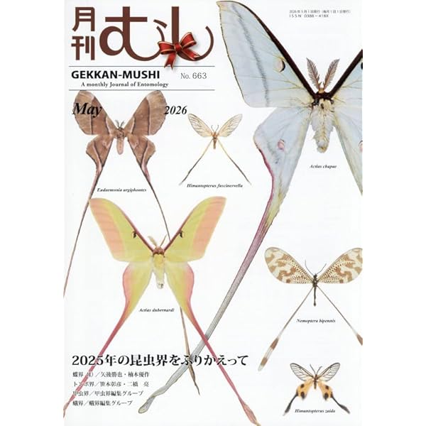 Amazon.co.jp: 月刊むし6月増刊号 ビークワ: 日本のノコギリクワガタ