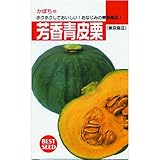 かぼちゃ 種 【 東京芳香青皮栗 】 種子 小袋（約15粒）