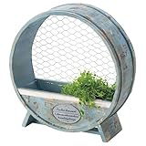 Paseo アミュザンプランター Blue WF-18BL