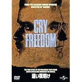 遠い夜明け [DVD]