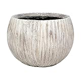 ホワイエ 陶器 GTロータスキング 4340032