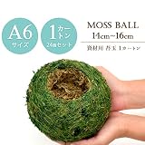 【資材苔玉Ａ６サイズ】資材苔玉　14～16cmの苔玉 (1カートン（24個セット）)