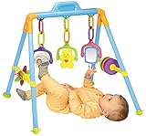 My Precious Baby Activity Play Gym by My Precious Baby