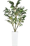 DORIS 観葉植物 光触媒 【フィカス 110cm】 フェイクグリーン インテリア 陶器鉢 水やり不要