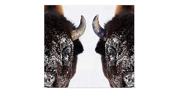 Amazon リチャード Wearポスター印刷bisonというタイトルの冬 30 X 28 13 30x28 None アートフレーム ポスター オンライン通販