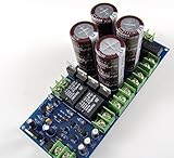 Newone Ljm 電源ボード 整流フィルター スピーカー保護 アンプ電源 50V/63V (63V5600UF 完成品)