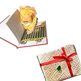 オリジナル絵本「ビッグパレード」×洗えるぬいぐるみ「ライオン」のギフトセット 通常イベントラッピング