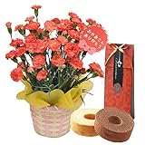 母の日 花とスイーツ ギフト カーネーション 鉢植え 5号鉢 オレンジ グランミリオン バウムクーヘン セット　プレゼント 用 ギフト ボックスでお届け