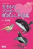 生きものプロポーズ摩訶ふしぎ図鑑 (生きもの摩訶ふしぎ図鑑) by スーパー＝ヘムレン