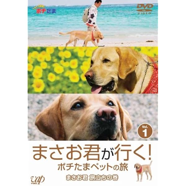 Amazon まさお君が行く ポチたまペットの旅 まさお君 旅立ちの巻 Dvd お笑い バラエティ