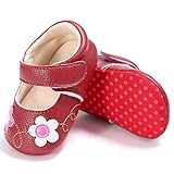 Lutents ベビーシューズ　靴　赤ちゃん靴　滑め防ぐ靴 室内履き　歩行靴　フォーマルシューズ 刺繍花 ガールズシューズ　滑り止め トレーニング　 ルームシューズ 出産お祝いプレゼント (12cm（