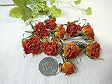 ドライフラワー　スプレー薔薇ヘッド　オレンジ
