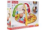 Fisher-Price Luv U Zoo Musical Mirror Gym. by BABY-TOYS