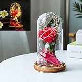 ソニーmdr7506フラワーinガラスドーム、美女と野獣シルク人工ユリ花Last Forever with LEDライト最高のギフトホーム装飾ホリデーパーティーバレンタイン ピンク 702577994