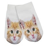 ベビーソックス – 子猫 – 品質保証、かわいい少年少女ユニセックスシャワーギフト、ソフト カラー: ベージュ
