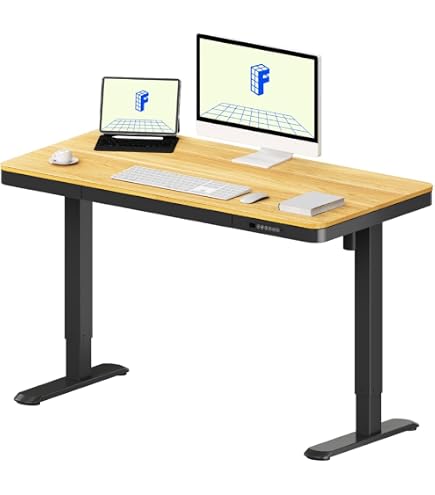Amazon | FLEXISPOT (フレックススポット) E3 デュアルモーター 電動