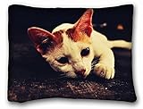 Decorative標準枕ケース動物猫猫は20 * 26 " One Side 標準 レッド VBNWO-31971