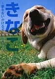 きなこ~夢をおいかける犬~
