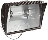 RAB Lighting QF300F Quartz Curve Floodlight, Aluminum, 300W Power, 6100 Lumens, 120V, Bronze [並行輸入品]