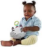 Fisher-Price Peek-a-boo Giggles Roscoe Baby Toy [並行輸入品]