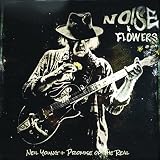 NOISE AND FLOWERS [2LP VINYL] [Analog]