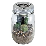 GLASS JAR WITH LED SABOTEN (グラスジャー ウィズ LED サボテン) Lサイズ