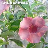 ���d�R������/����炵�܂̉S